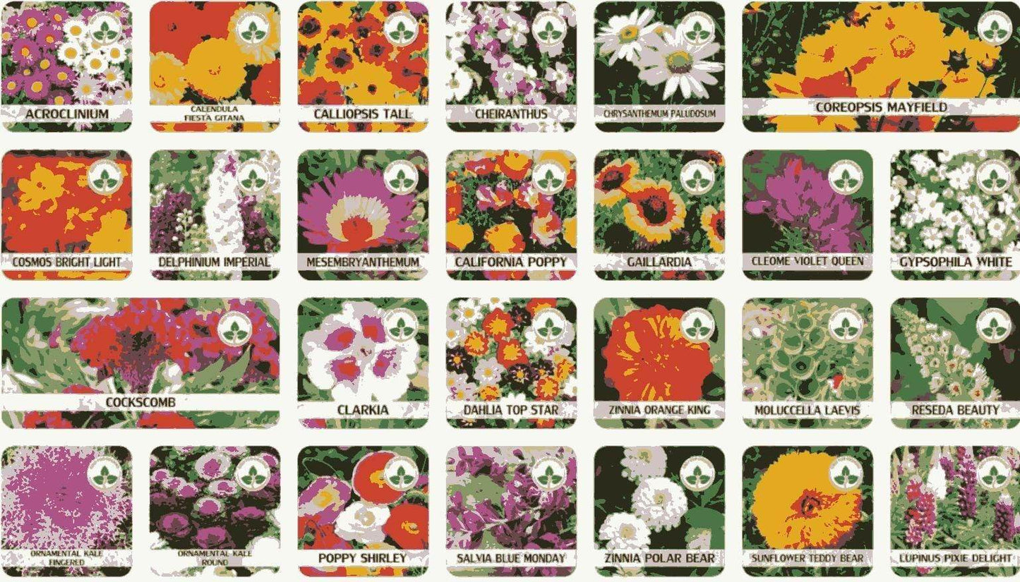 Affordable Flower Seeds for Home Garden - online shope