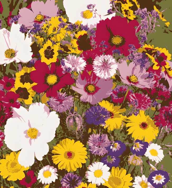 Affordable Flower Seeds for Home Garden - online shope