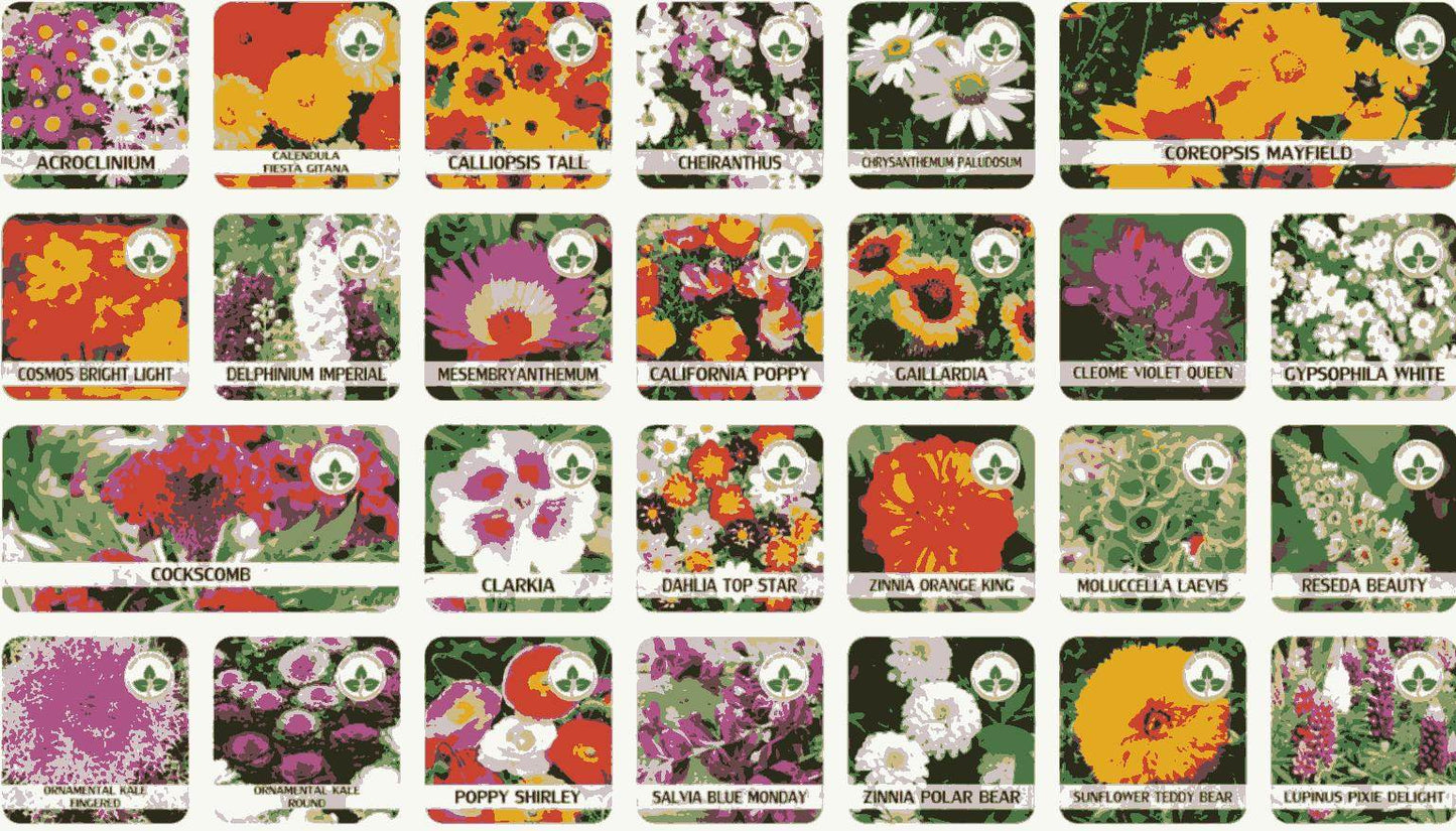 Affordable Flower Seeds for Home Garden - online shope