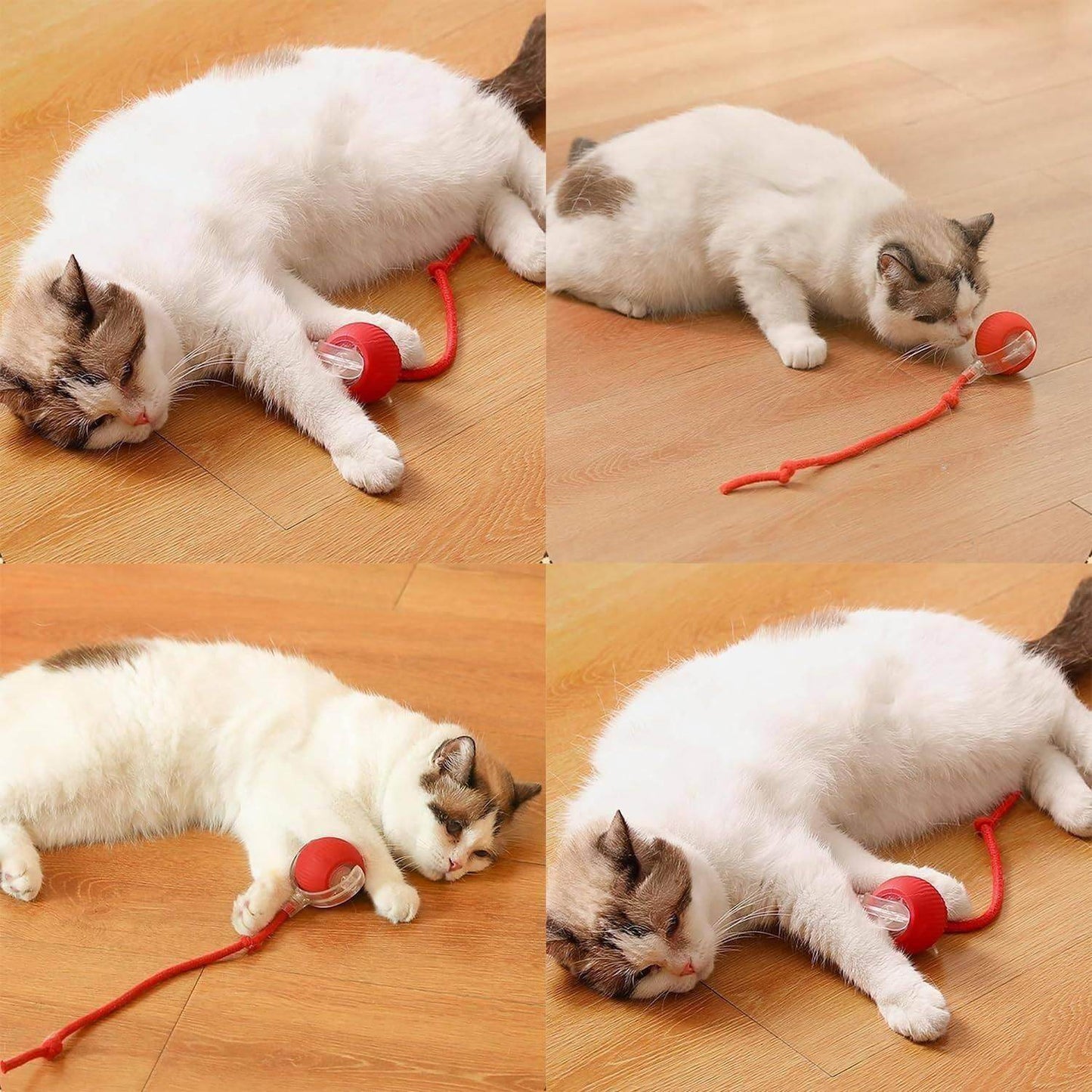 Interactive Cat and Dog Pet Toy Ball - online shope