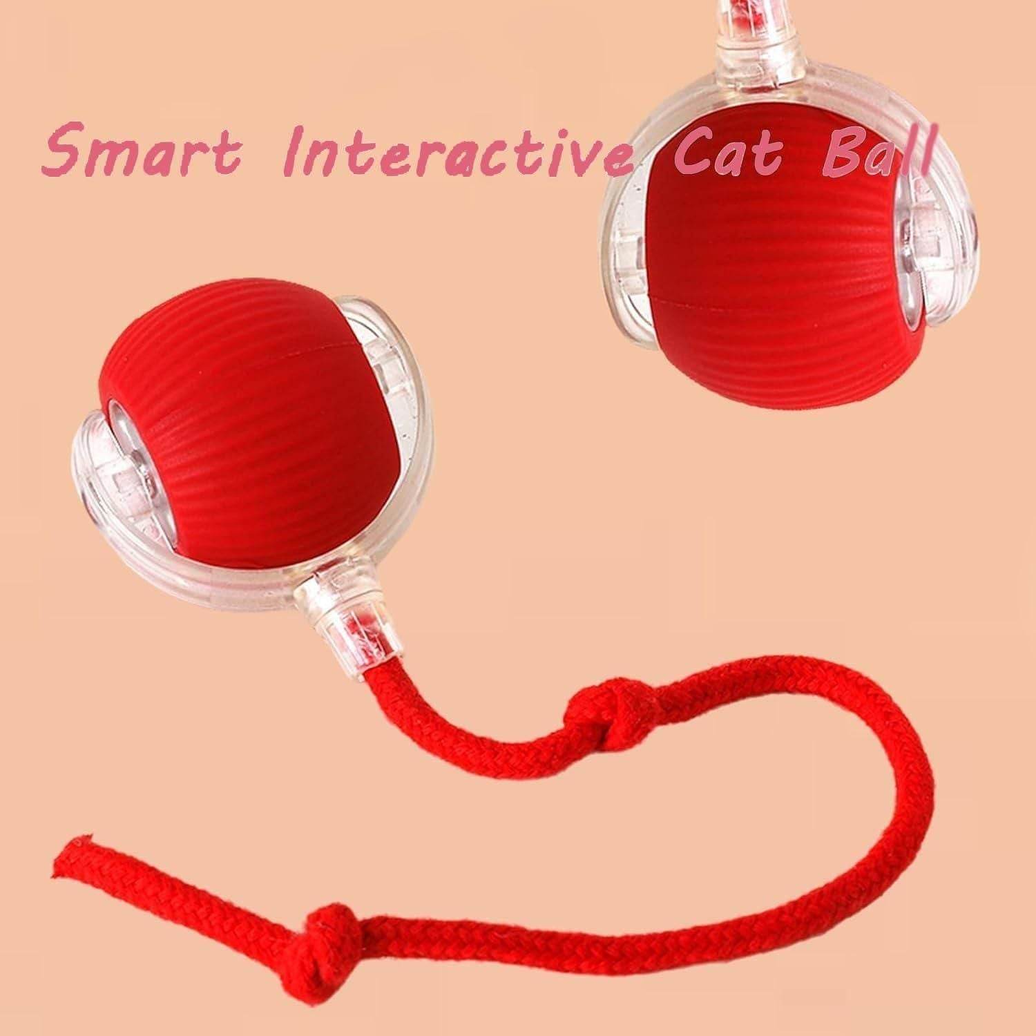 Interactive Cat and Dog Pet Toy Ball - online shope