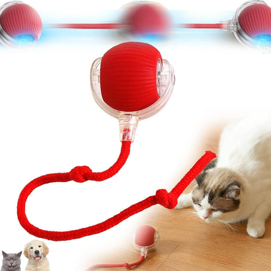 Interactive Cat and Dog Pet Toy Ball - online shope
